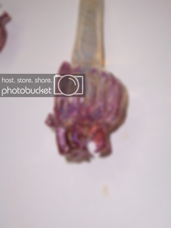 100_8552.jpg
