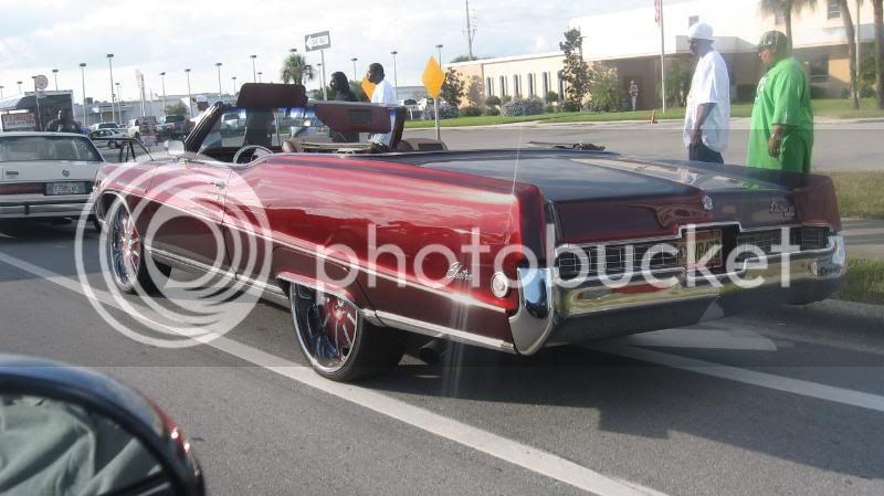 NEWPICZ035.jpg