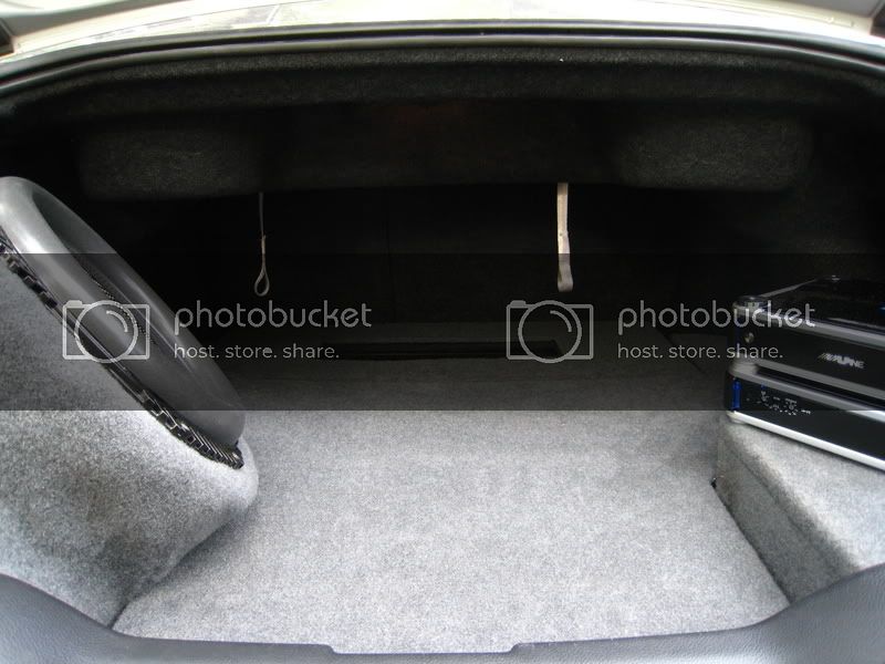 09-ViewintoTrunk.jpg