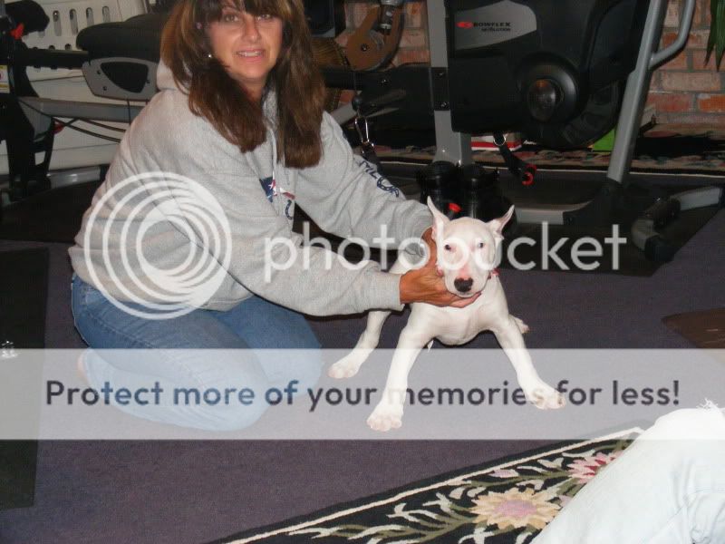 Picture237.jpg