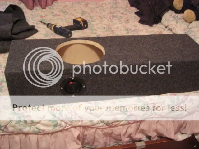 CIMG0077.jpg