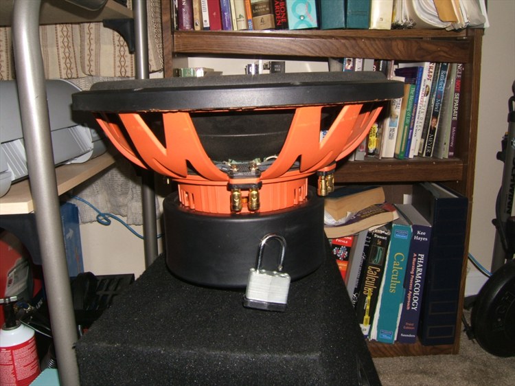 5203380617_large.jpg