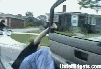 Owned3-1.gif