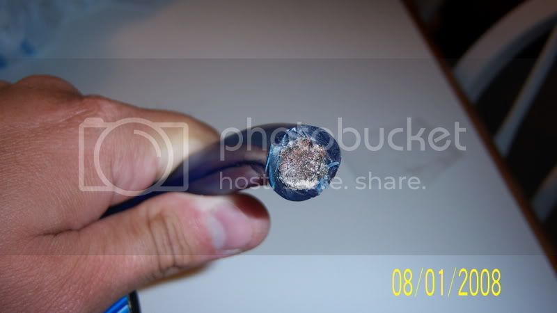 100_0787.jpg