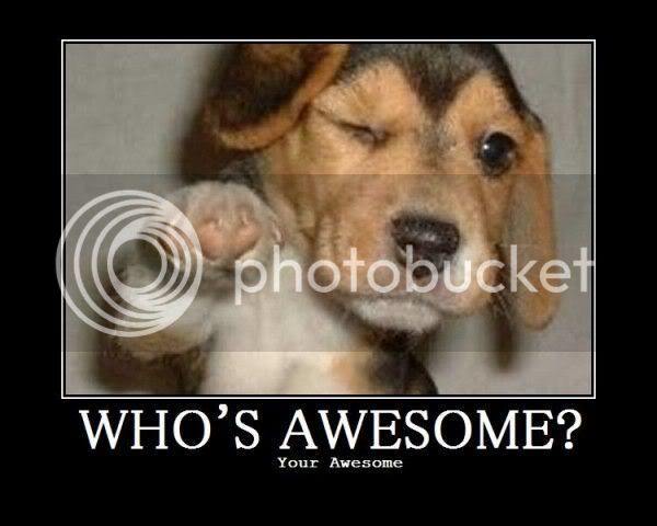 whos_awesome.jpg