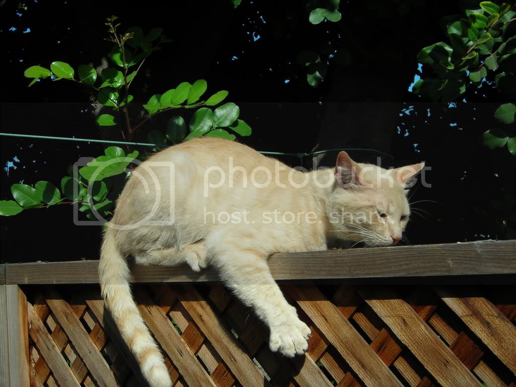 Picture005.jpg