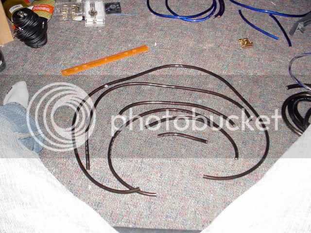DSC02365.jpg