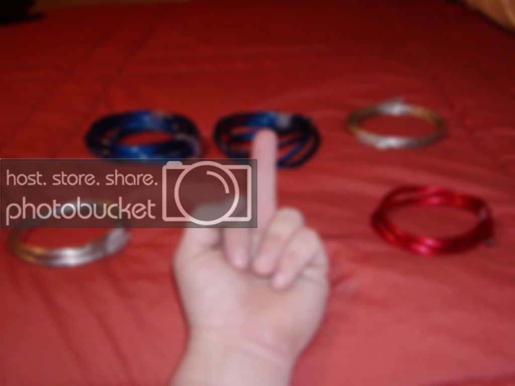P1010024.jpg