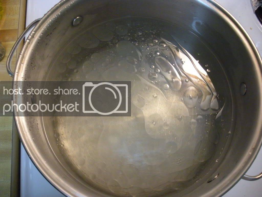 DSCN0243.jpg