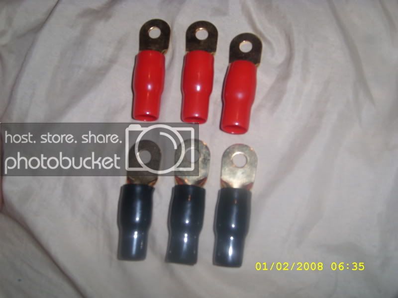 SL270476.jpg