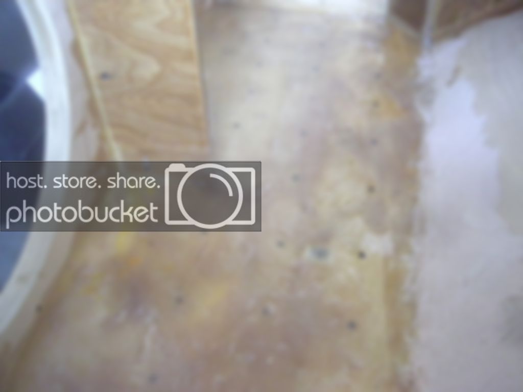 DSCN3212.jpg