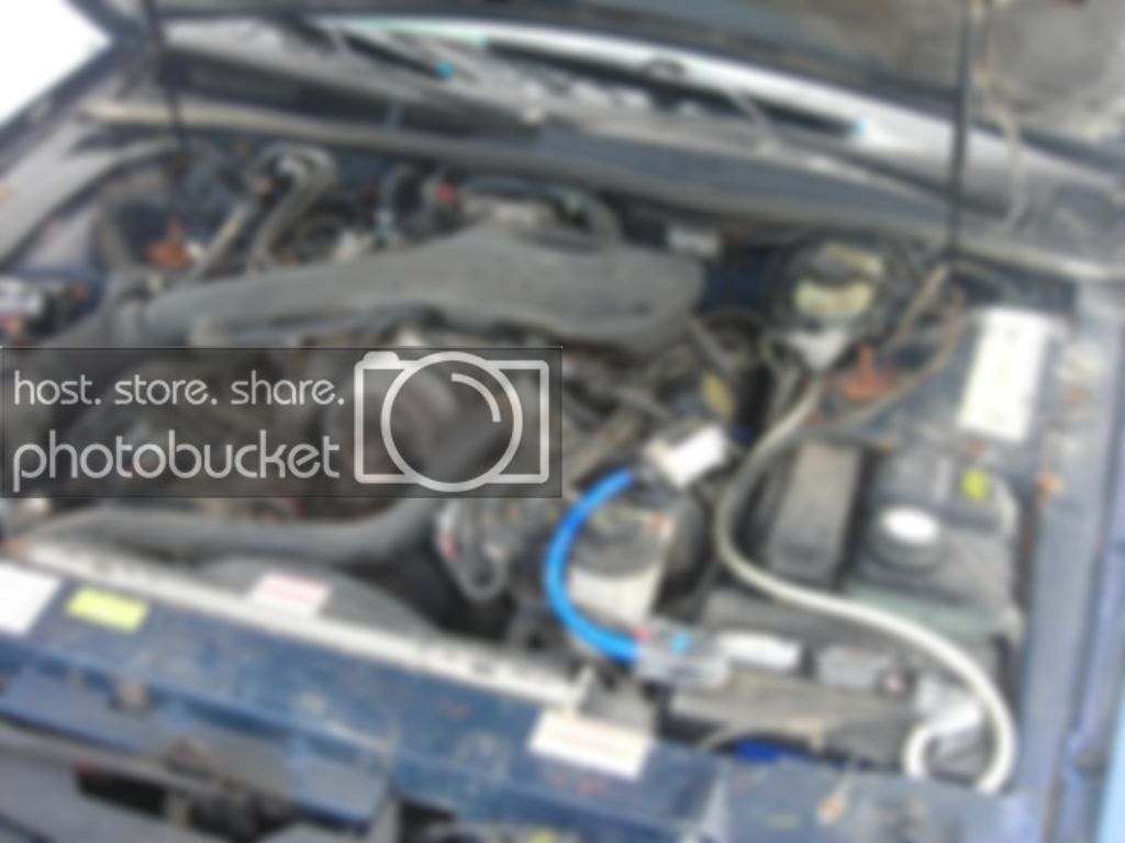 thunderbirdsalepics006.jpg