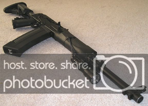 saiga_side.jpg