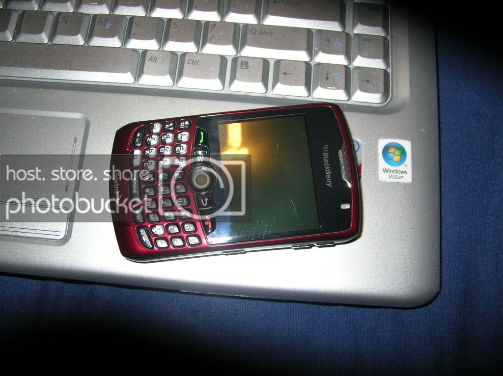 DSCN4141.jpg