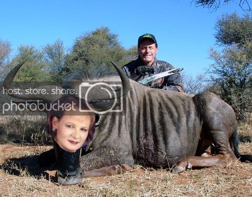 wildebeest-nugentcopy.jpg