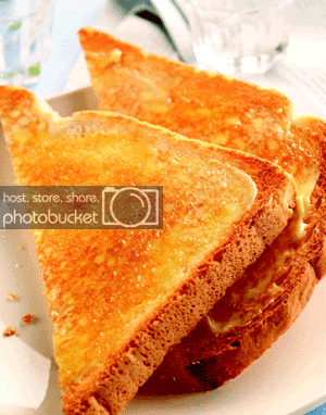 toast.gif