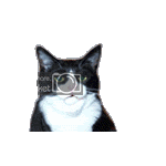 avatar1295119iw4.gif