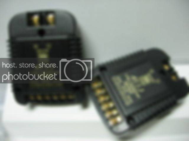 img3856lz2.jpg