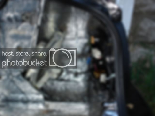 03-Trunk06.jpg