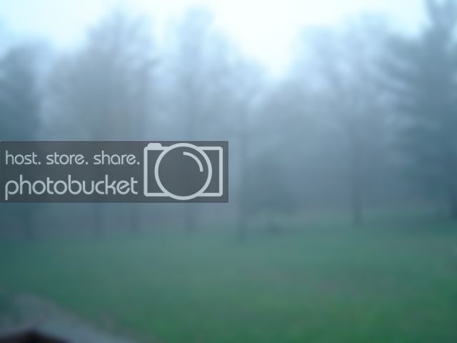 DSC00034.jpg
