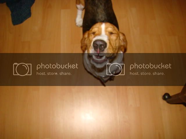 DSC05791.jpg