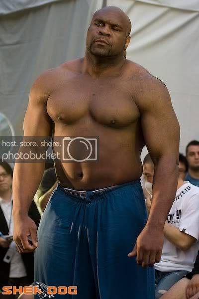sapp.jpg