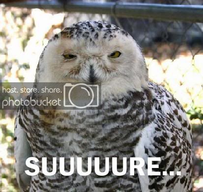suuure.jpg
