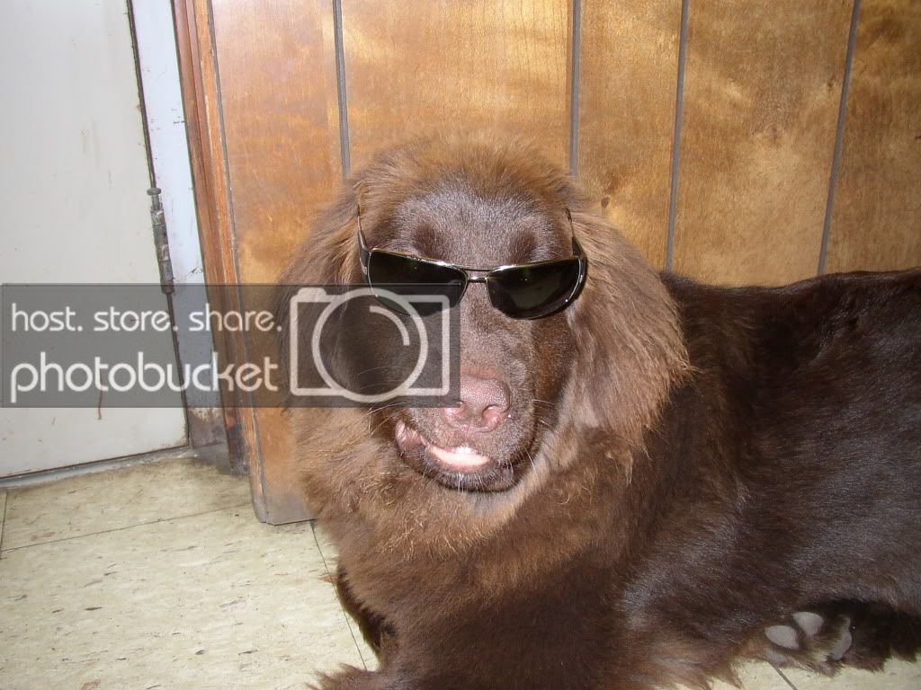 Reba002.jpg