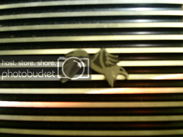 PICT0637.jpg