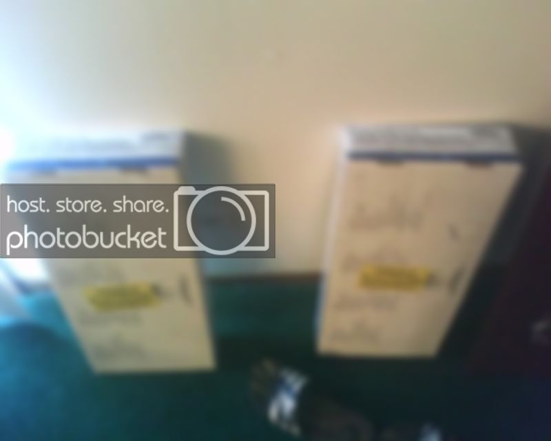 IMG00146.jpg