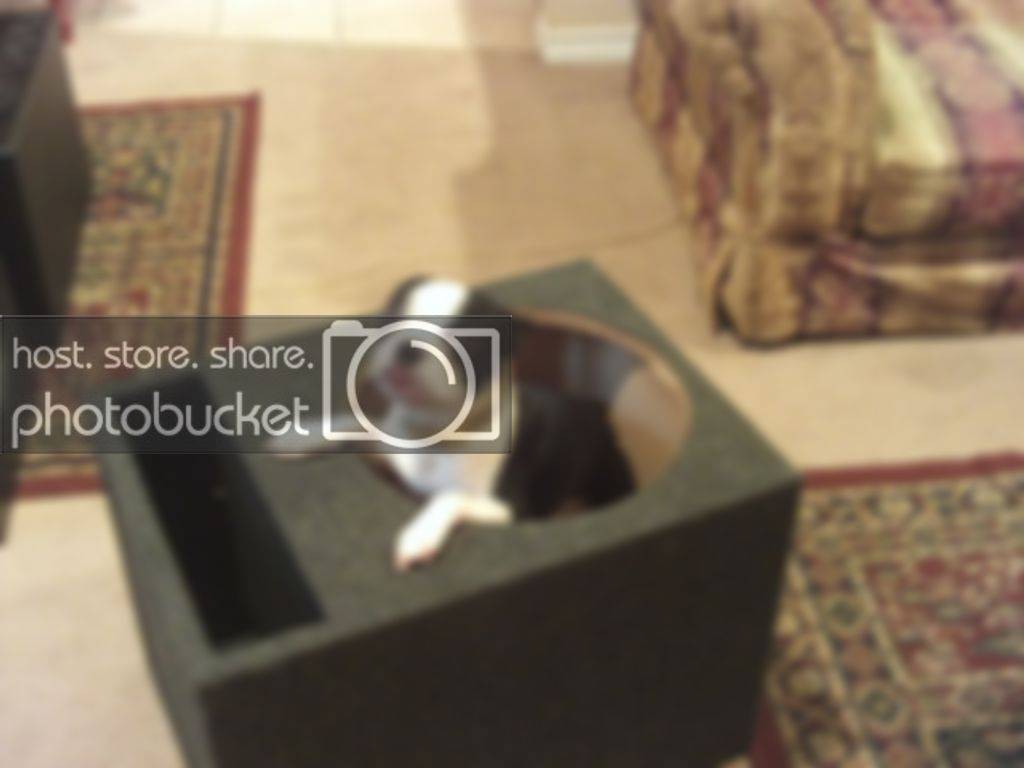 FILE0142.jpg