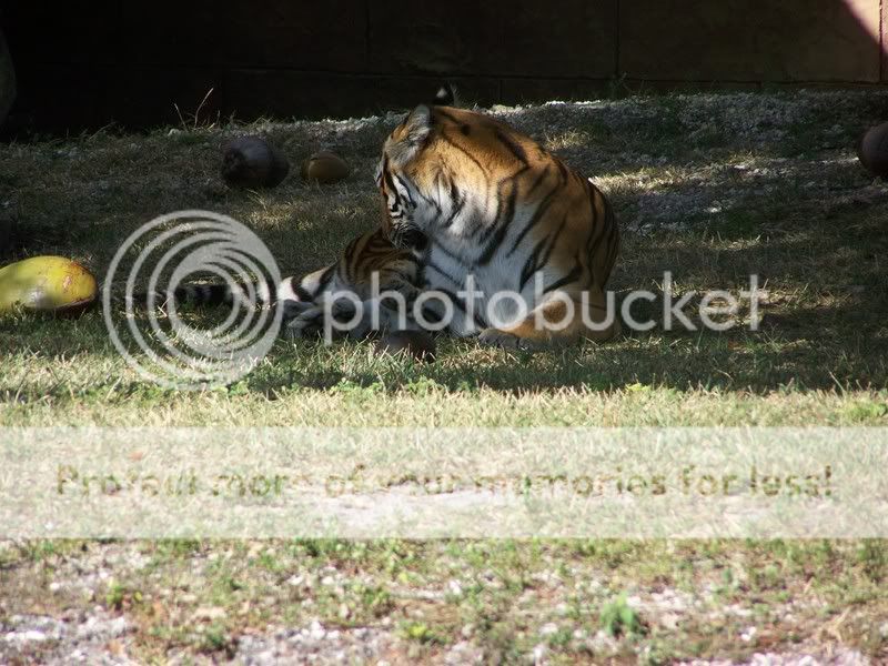 zoo004.jpg