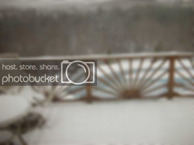 DSCN0929.jpg