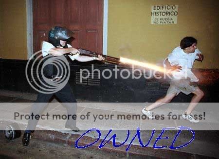 ownedgun.jpg