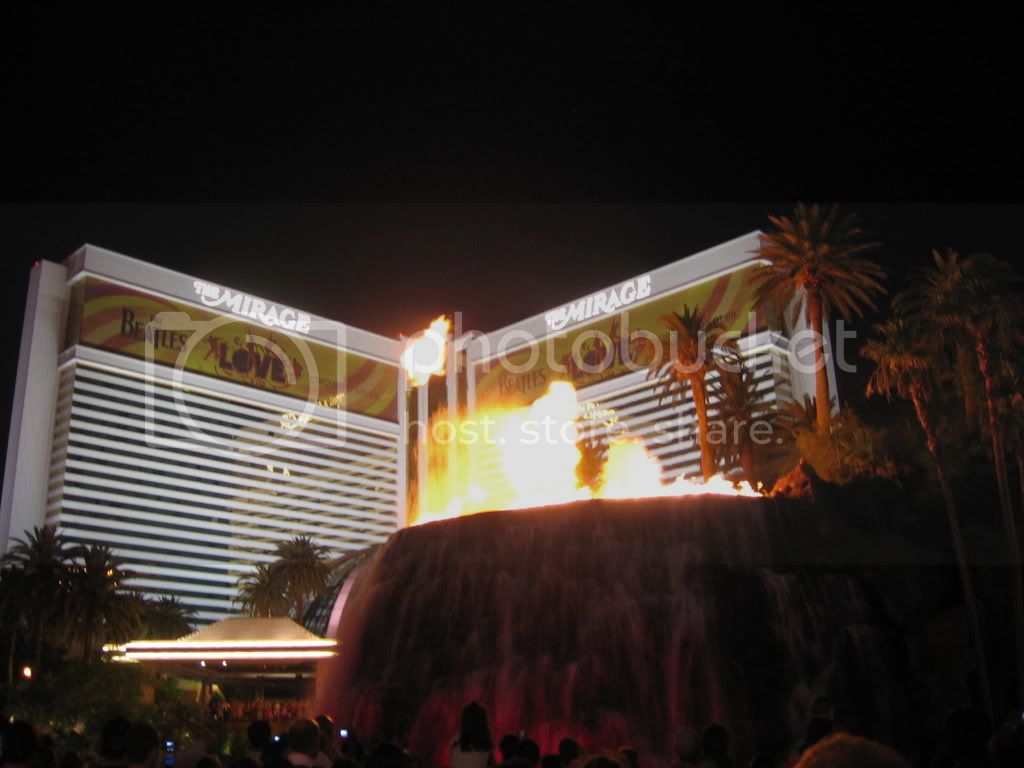 IMG_2492.jpg