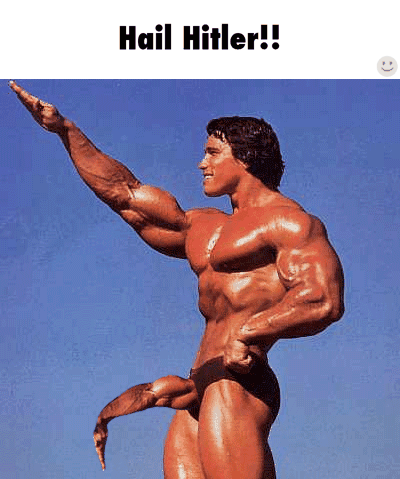 giphy.gif