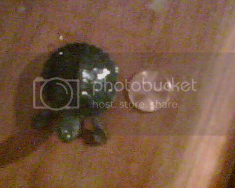 IMG00930.jpg