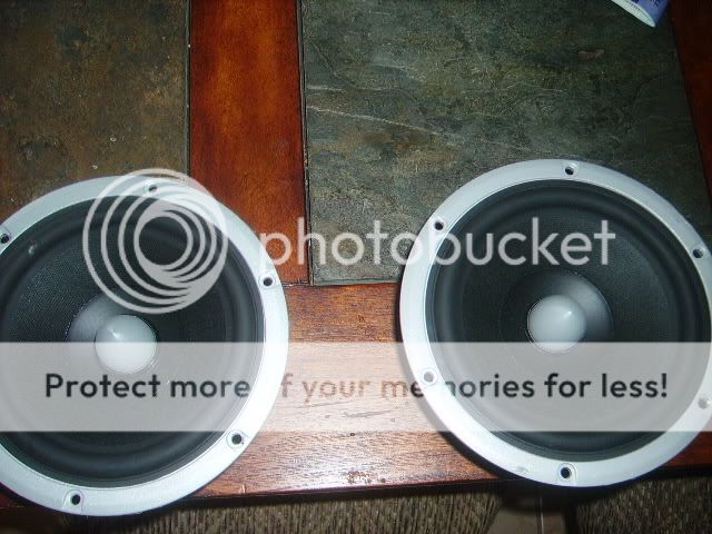 IMGP0830.jpg