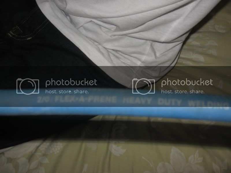 IMG_3917.jpg