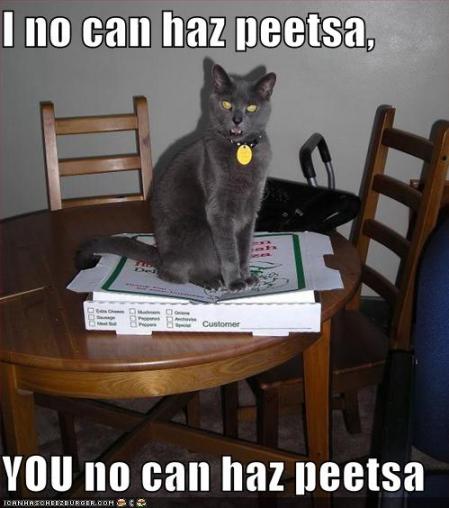 cat-cant-have-pizza.jpg