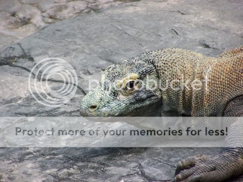 zoo060.jpg