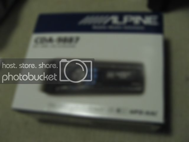 9887001.jpg