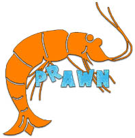 prawn.jpg