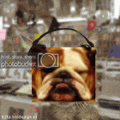 Dog2.gif