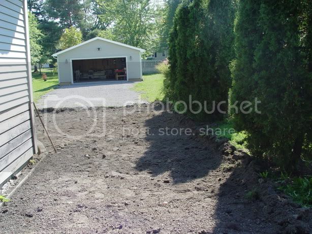 Carsplusoldpicsofdriveway026.jpg
