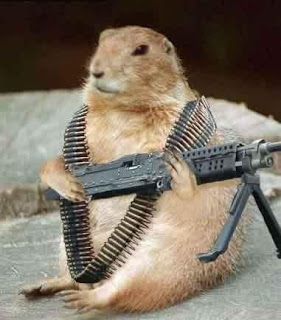 groundhog.JPG