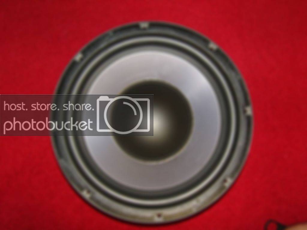 SNC10006.jpg
