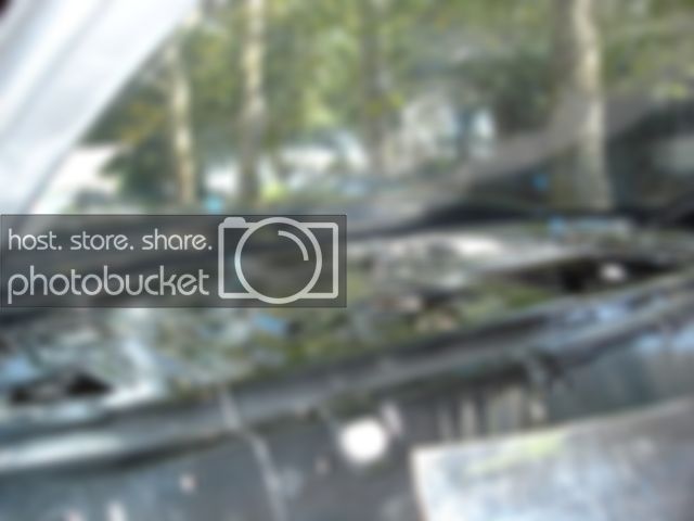 06-RearDeck01.jpg