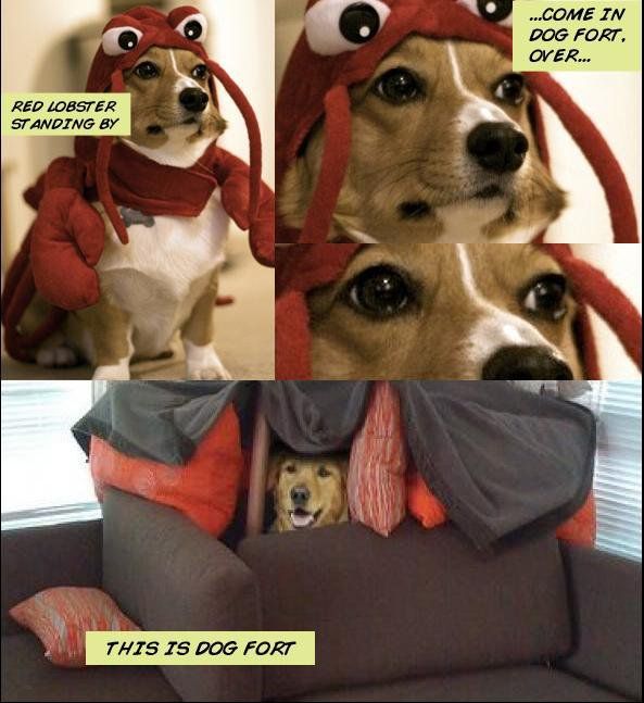 UJvBn.jpg