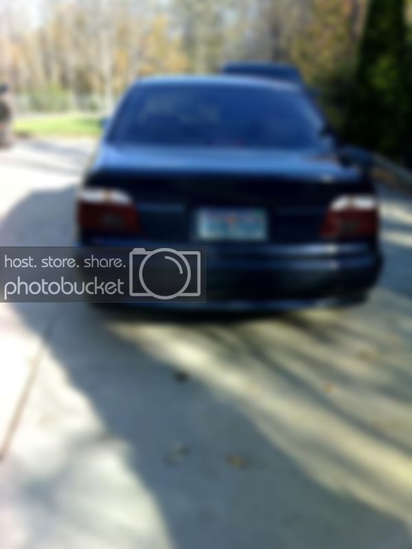 11-03-07_1524tint2.jpg